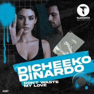 DICHEEKO & DINARDO - Don't Waste My Love (2025)