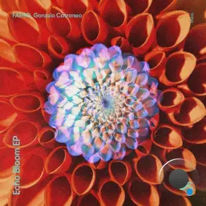 Faero & Gonzalo Cotroneo - Echo Bloom (2025)
