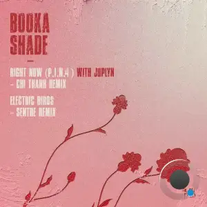 Booka Shade - Right Now (P.I.N.4) / Electric Birds (2025)