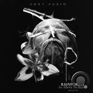 Rainforest - As Above So Below (2025)
