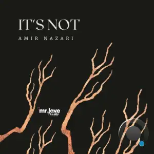 Amir Nazari - It's Not (2025)