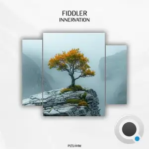 Fiddler - Innervation (2025)