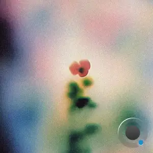 Wala - SMV012 (2025)