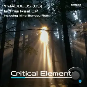 Thaddeus (US) - Is This Real (2025)