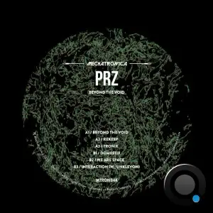 PRZ - Beyond The Void (2025)