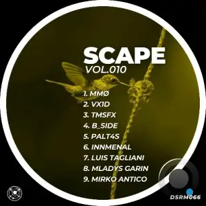 Scape, Vol. 010 (2025)