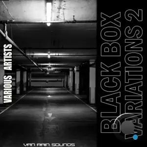 Black Box Variations, Vol. 2 (2025)