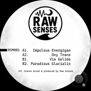 Raw Senses - RSM001 (2025)