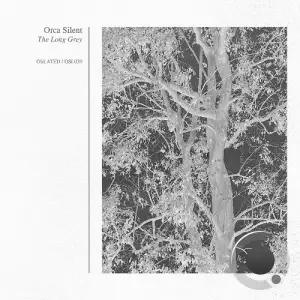 Orca Silent - The Long Grey (2025)