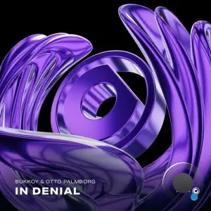 Bukkoy & Otto Palmborg - In Denial (2025)