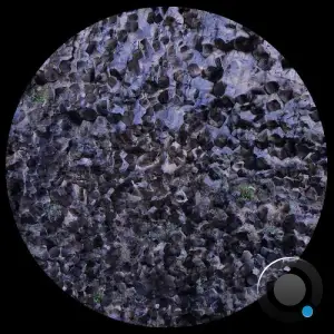 Decoder - Solitary State (2025)