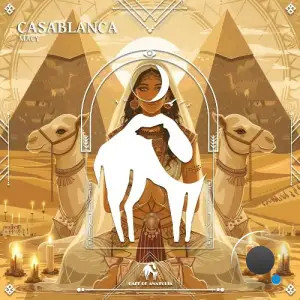 Macy - Casablanca (2025)