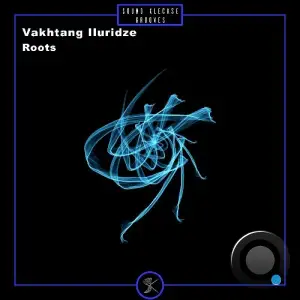 Vakhtang Iluridze - Roots (2025)