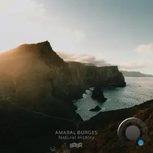 Amaral Borges - Natural History (2025)
