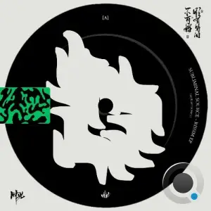 Subliminal Source - RiSSim (2025)
