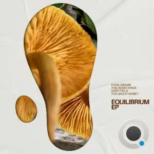 Atlantic Connection - Equilibrium (2025)