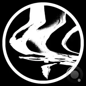 The Chronics - Voices From The Void (2025)