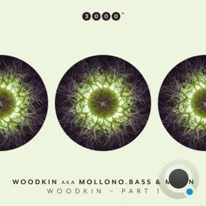 WOODKIN aka Mollono.Bass & MAZ'N - WOODKIN - Part 1 (2025)