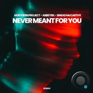Northern Project & Abbey8k & Sinead Mccarthy - Never Meant For You (2025)