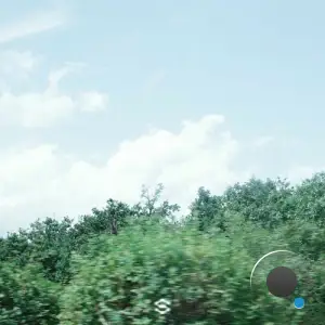 Lilygarden - Easy, Eyes (2025)