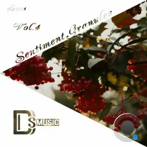 Sentiment Granules, Vol. 4 (2025)