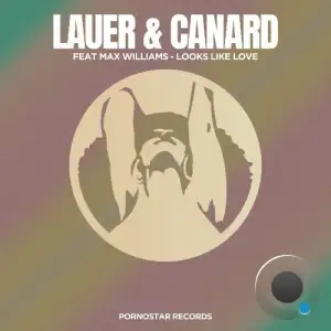Lauer & Canard feat Max Williams - Looks Like Love (2025)