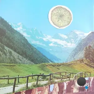 Eazyopoluse - The Immigrant (2025)