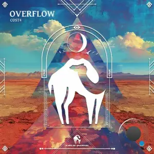 Cost4 - Overflow (2025)