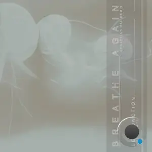 Ben Junction And Ben Dante - Breathe Again (Sebastian Hal Remix) (2025)