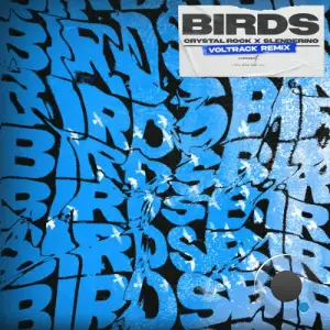 Crystal Rock x Slenderino - Birds (VolTrack Remix) (2025)