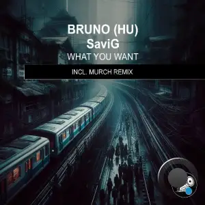 Bruno (HU) & Savig - What You Want (2025)