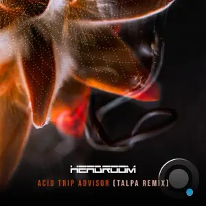 Headroom - Acid Trip Advisor (Talpa Remix) (2025)
