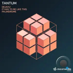 Tantum - Dejavu / It Has To Be Like This / Palindrome (2025)