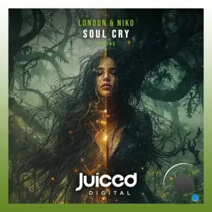 London & Niko - Soul Cry (2025)