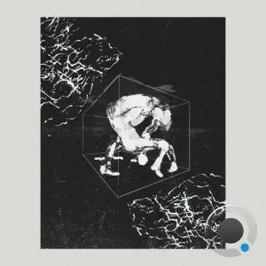 Settle Down - Breathing Space (2025)