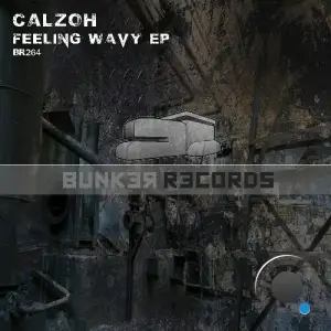 Calzoh - Feeling Wavy (2025)