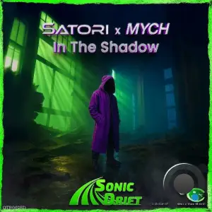 Satori x Mych - In The Shadow (2025)
