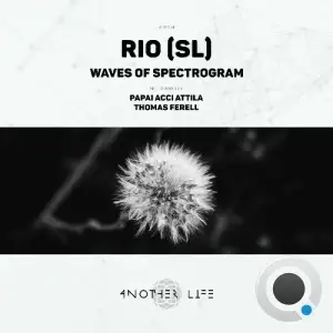 RIO (SL) - Waves of Spectrogram (2025)