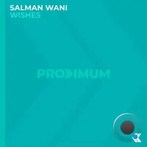 Salman Wani - Wishes (2025)