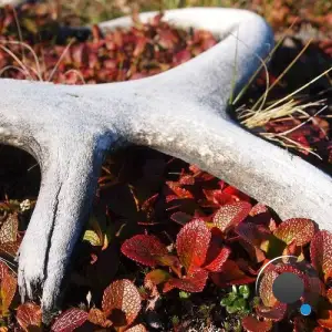 Hd Substance - Generative Digital Series Vol. 11 (2025)