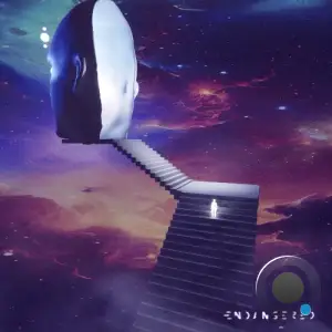 Brian Cid - Observe / Immerse In The Sound (2025)