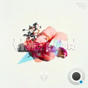 Screamarts - Vivid Blur (2025)