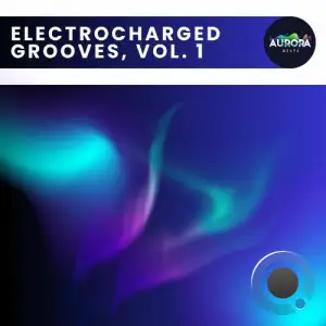 Electrocharged Grooves, Vol. 1 (2025)