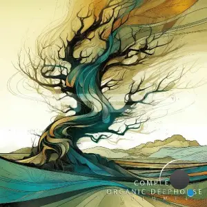 Complex Organic Deephouse, Vol. 4 (2025)