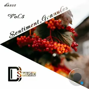 Sentiment Granules, Vol. 5 (2025)