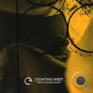 Counting Sheep - What's Going On (2025)