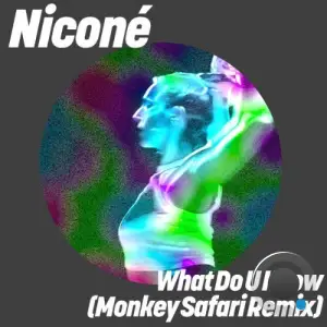 Nicone - What Do U Know (Monkey Safari Remix) (2025)