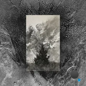 Superpoze - Siècle (2025)
