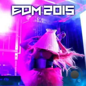 Shitty Princess - EDM 2015 (2025)