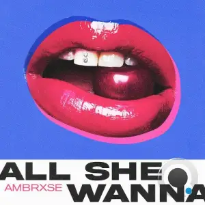 ambrxse - All She Wanna (2025)